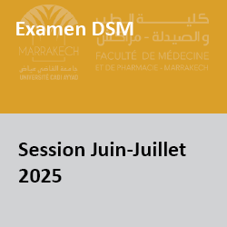 dsm2525