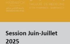 dsm mis à jour