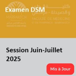 dsm mis à jour